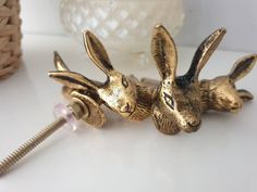 two gold rabbits sitting next to each other