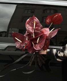 a bouquet of flowers being held out of the back of a car