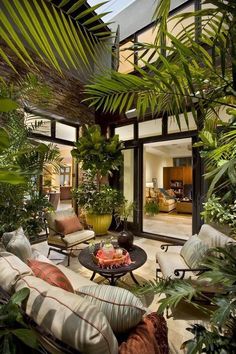 a living room filled with lots of plants and furniture