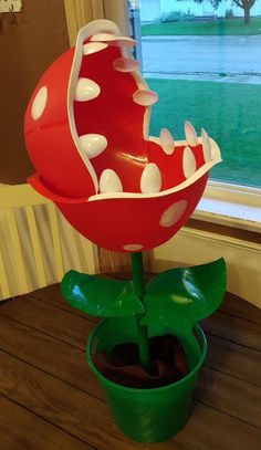 a red and white flower sitting on top of a wooden table next to a window