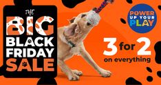 Save BIG in our most bonkers sale of the year (plus bag exclusive black friday deals for purchasers.) These toys are set to be your dog’s all time favs. Strong Dog Toys, Dog Enrichment, Enrichment Activities, Interactive Dog Toys, Dog Activities, Toy Puppies, Dog Gifs, Friday Sale, Black Friday Deals