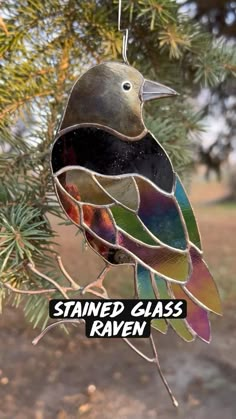 a stained glass bird ornament hanging from a tree branch with the words stained glass raven on it