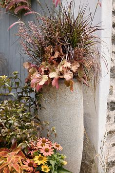 an assortment of plants are growing in a cement planter on the side of a building