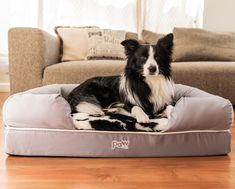 a black and white dog laying on top of a bed in front of a couch