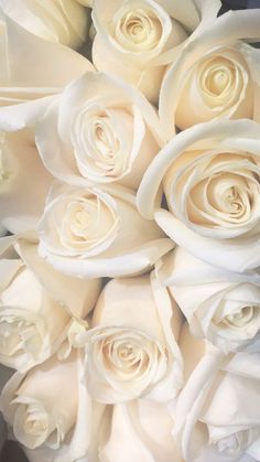 a bouquet of white roses is shown close up