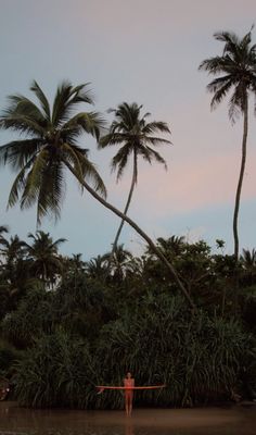 a person standing in the water with their arms out and two palm trees behind them