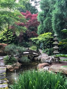 a small bridge over a stream in a garden