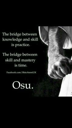 the bridge between knowledge and skill is practice the bridge between skill and mastery is time