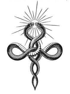 a black and white drawing of a snake with the sun shining above it's head