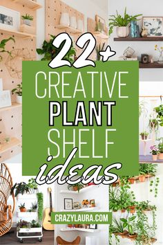 the words 22 creative plant shelf ideas are shown