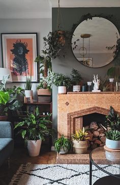 a living room filled with lots of plants and a fire place in front of a mirror