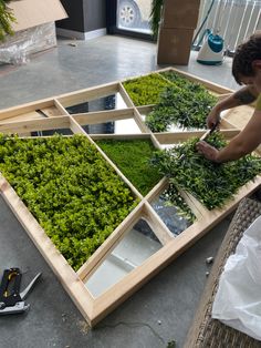 a person working on some plants in a room