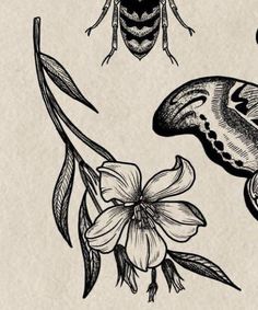 an image of some bugs and flowers