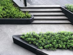 some plants are growing in black planters on the concrete steps and stairs that lead up to an outdoor deck