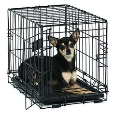 a small dog sitting in a metal cage