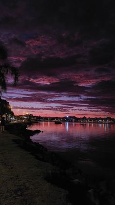 the sky is purple and pink as it sits over water with palm trees in the foreground