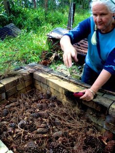 an older woman is picking up pine cones from the ground in her back garden area