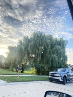 a man standing in front of a tree on the side of a road next to a car