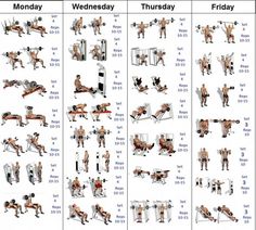 a poster showing the different exercises to do in a bodybuilding gym, including bench presss