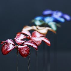 four red, white and blue flowers sitting on top of each other in front of a black background