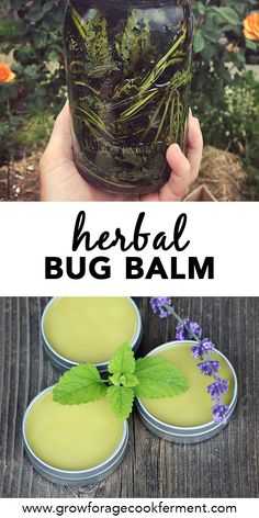 Cold Sore Lip, Lip Balm Recipe, Diy Lip Balm Recipes, Balm Recipe, Time To Heal, Salve Recipes, Cold Sores, Lip Balm Recipes, Homemade Lip Balm