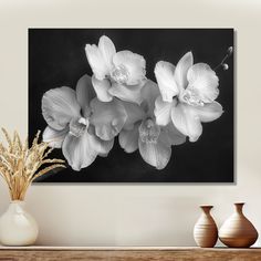 black and white photograph of flowers in vases on table next to shelf with plant