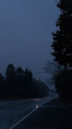 an empty street at night with the lights on and trees in the foreground that are foggy