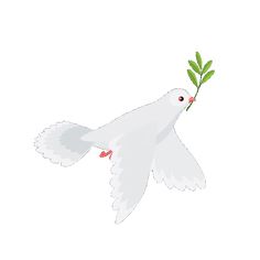 a white dove flying with a green twig in its beak