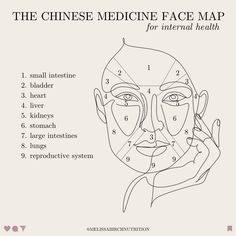 Graphic of a face illustration showing the traditional Chinese medicine face map Chinese Facial Mapping, Chinese Face Mapping Acne, Tcm Face Mapping, Chinese Face Massage, Acne Map, Chinese Face Map, Acne Face Map, Facial Reflexology, Face Map