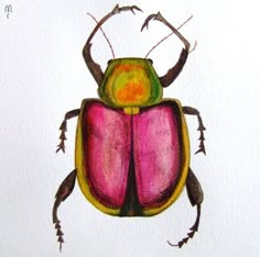 a drawing of a pink and green beetle