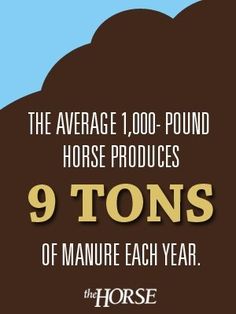 the average 1, 000 pound horse produces 9 tons of manure each year