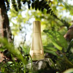 a bottle of sun - ma on top of a rock in the woods with trees behind it