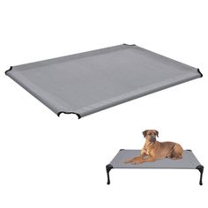 a dog laying on top of a gray mat