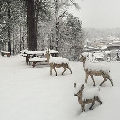 two deer statues are covered in snow near picnic tables and benches on a snowy day