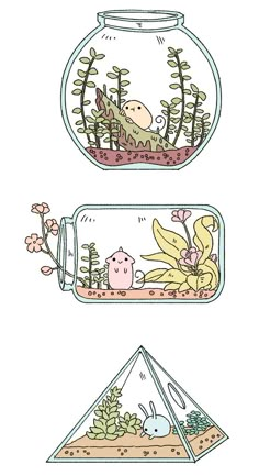 two glass jars filled with plants and animals