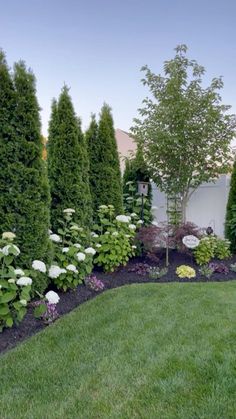 this is an image of a garden with trees and flowers in the middle of it