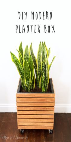 a wooden planter filled with green plants on top of a hard wood floor