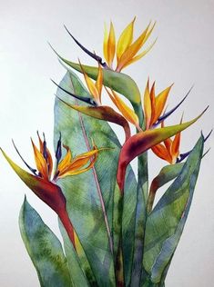 this is a painting of birds of paradise