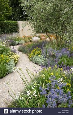 a garden with various plants and flowers in the foreground, surrounded by gravel path