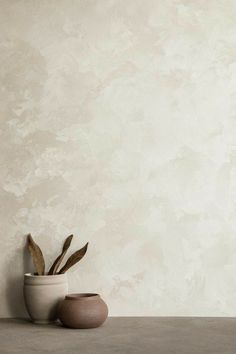 two vases with plants in them sitting on a table next to a white wall