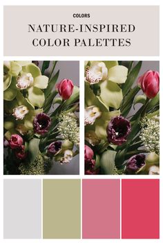 Unleash your creativity with these beautiful color palettes inspired by nature and our coloring books! Explore various combinations to bring your illustrations to life and enhance your artistic journey. Pin and follow us for more color inspiration.