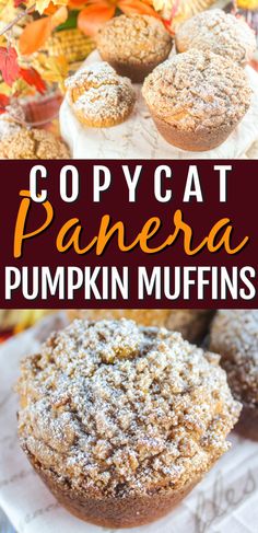 pumpkin muffins with powdered sugar on top and text overlay that reads copycat panera pumpkin muffins