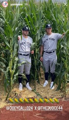 two baseball players standing in the middle of a corn field