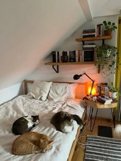 three cats laying on top of a bed next to a lamp and bookshelf