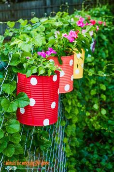 three flower pots are hanging from a wire fence