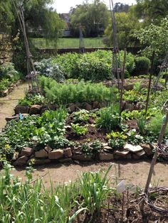 a garden filled with lots of different types of vegetables and plants in it's own area