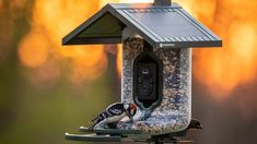 10 Best Smart Bird Feeders to Watch Feathered Friends in Your Yard