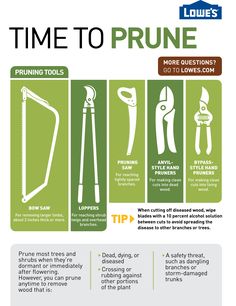 the instructions for how to use prunie tools in construction and home improvement projects