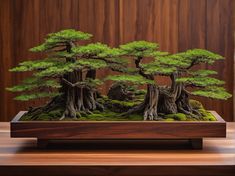 a bonsai tree is displayed on a wooden stand with moss and other trees in the background