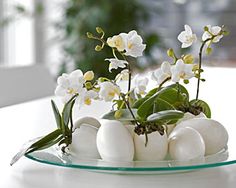 some white flowers and eggs on a glass plate